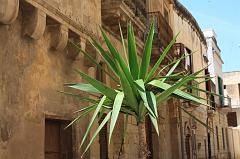 99-Lecce,26 aprile 2013
